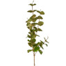 Eucalyptus glitter - diverse kleuren - 75 cm
