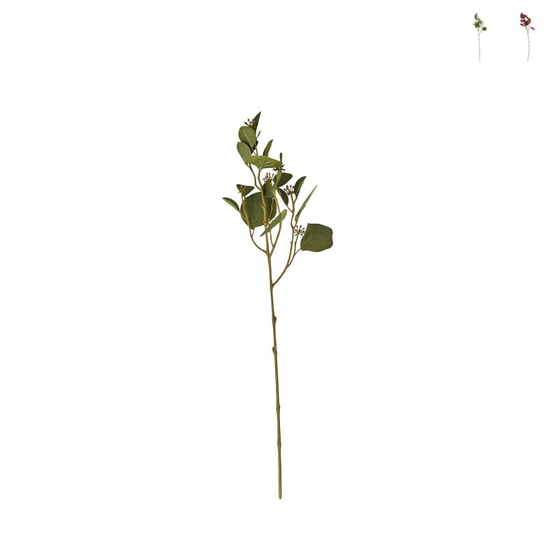 Eucalyptus - diverse kleuren - 64 cm