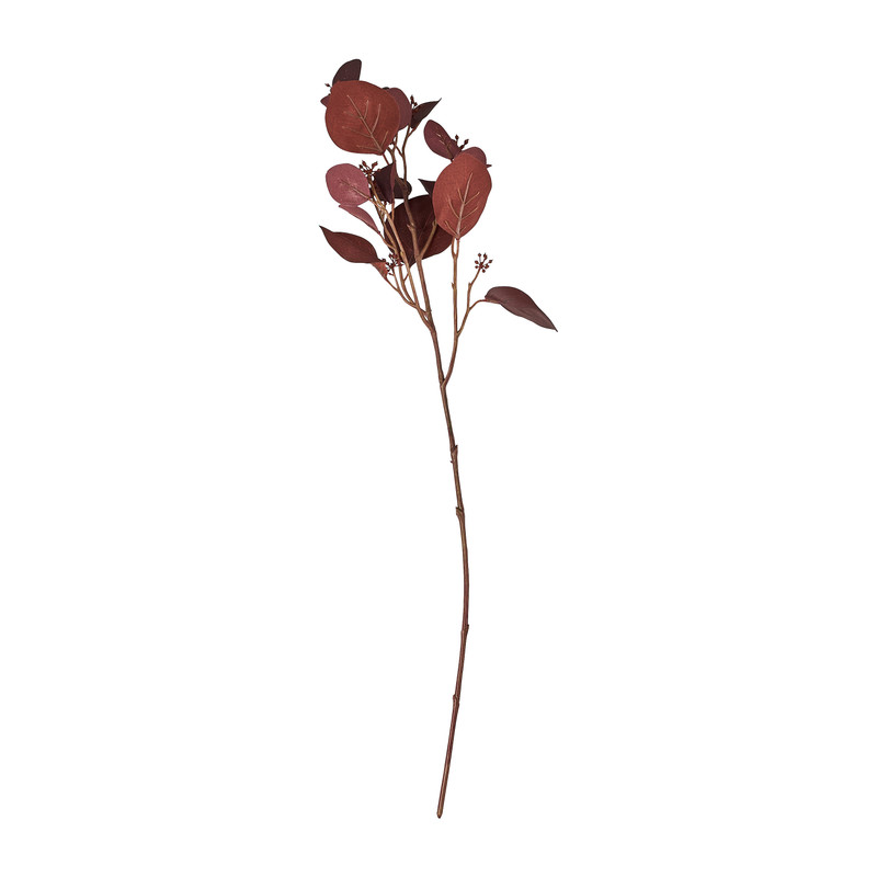 Eucalyptus - diverse kleuren - 64 cm