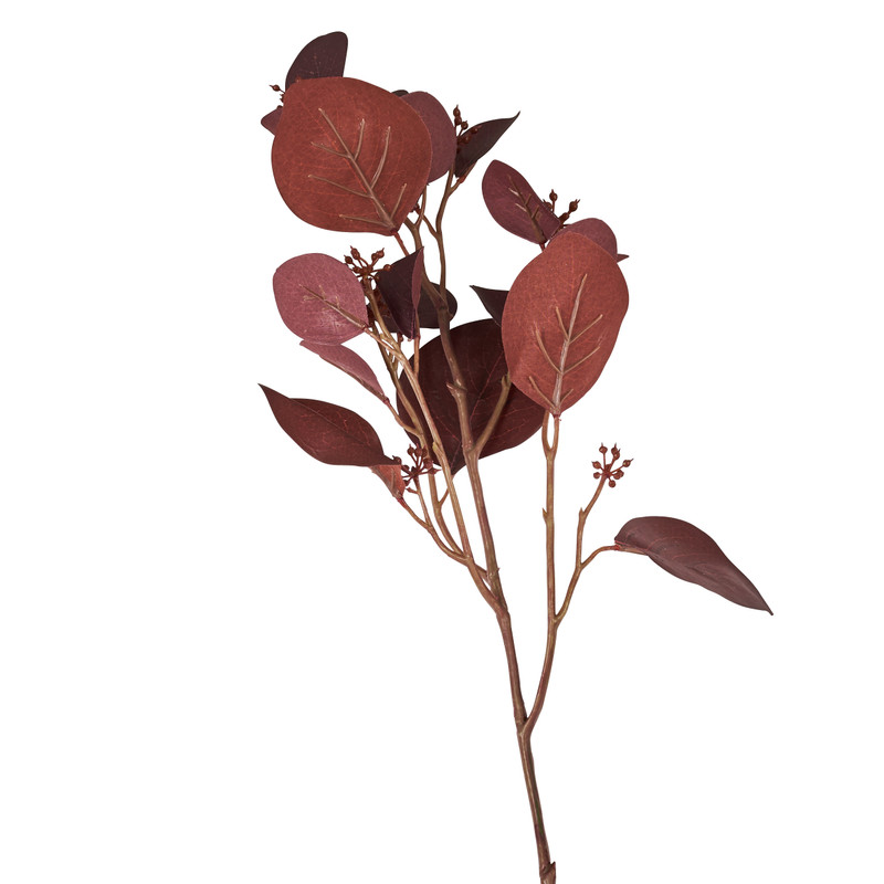 Eucalyptus - diverse kleuren - 64 cm