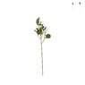 Eucalyptus - diverse kleuren - 64 cm
