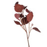 Eucalyptus - diverse kleuren - 64 cm