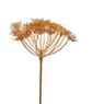Allium - goudkleurig - 57 cm