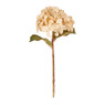 Hortensia met goud - diverse kleuren - 28 cm