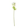 Anemoon - diverse kleuren - 34 cm