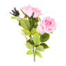 Rozentak - roze