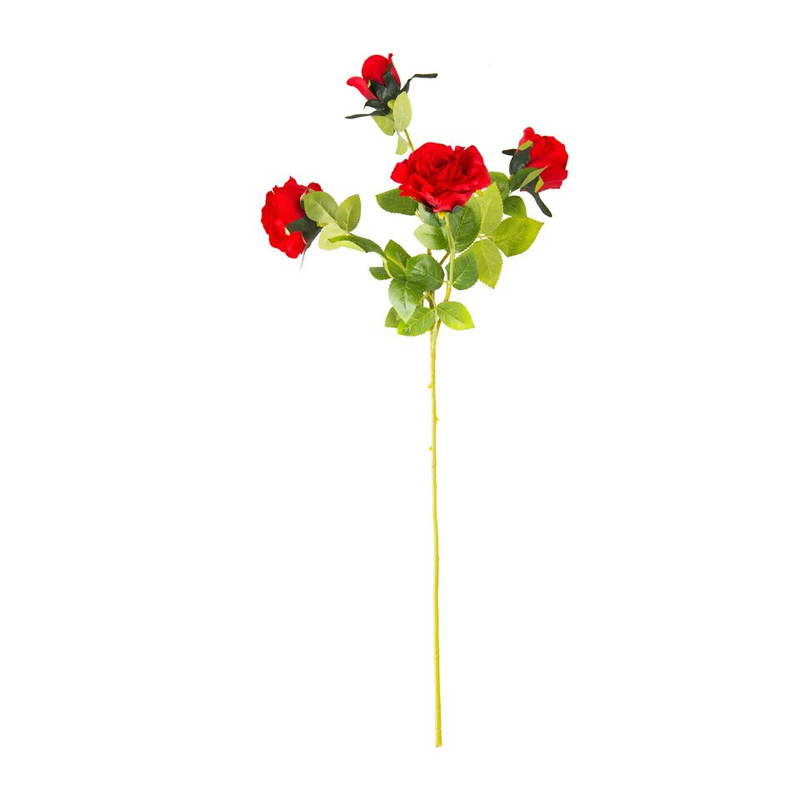 Rozentak - rood