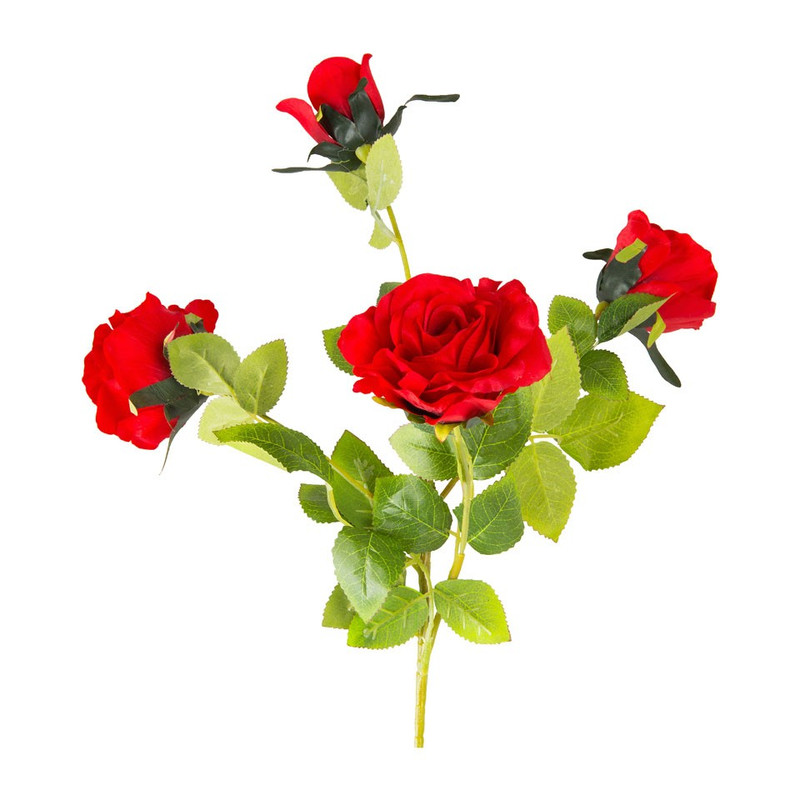 Rozentak - rood