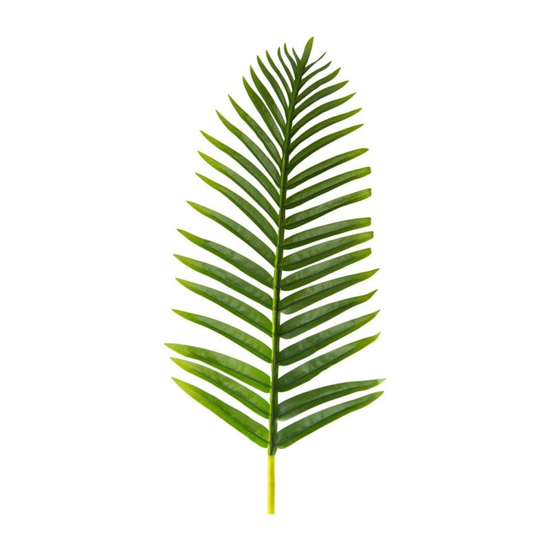 Palmblad - 22x90 cm