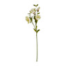 Magnoliatak crème - 93 cm 