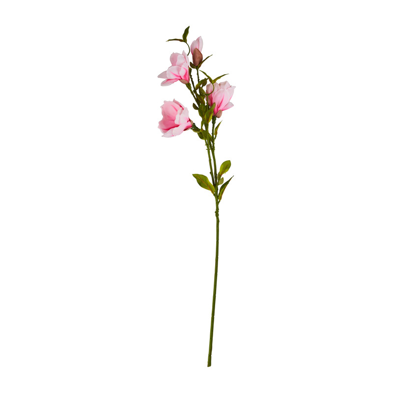 Magnoliatak roze - 93 cm 
