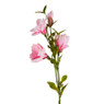 Magnoliatak roze - 93 cm 