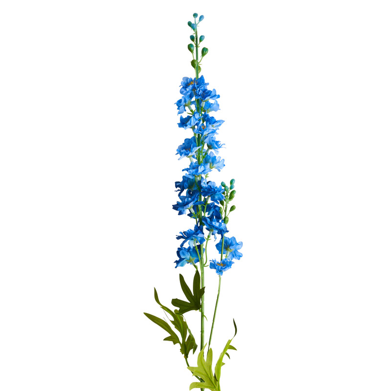 Ridderspoor - blauw - 77 cm