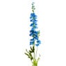 Ridderspoor - blauw - 77 cm