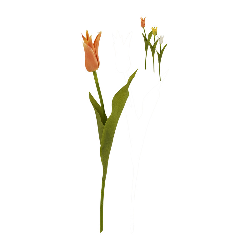 Tulp klein spits - verschillende kleuren - 40 cm