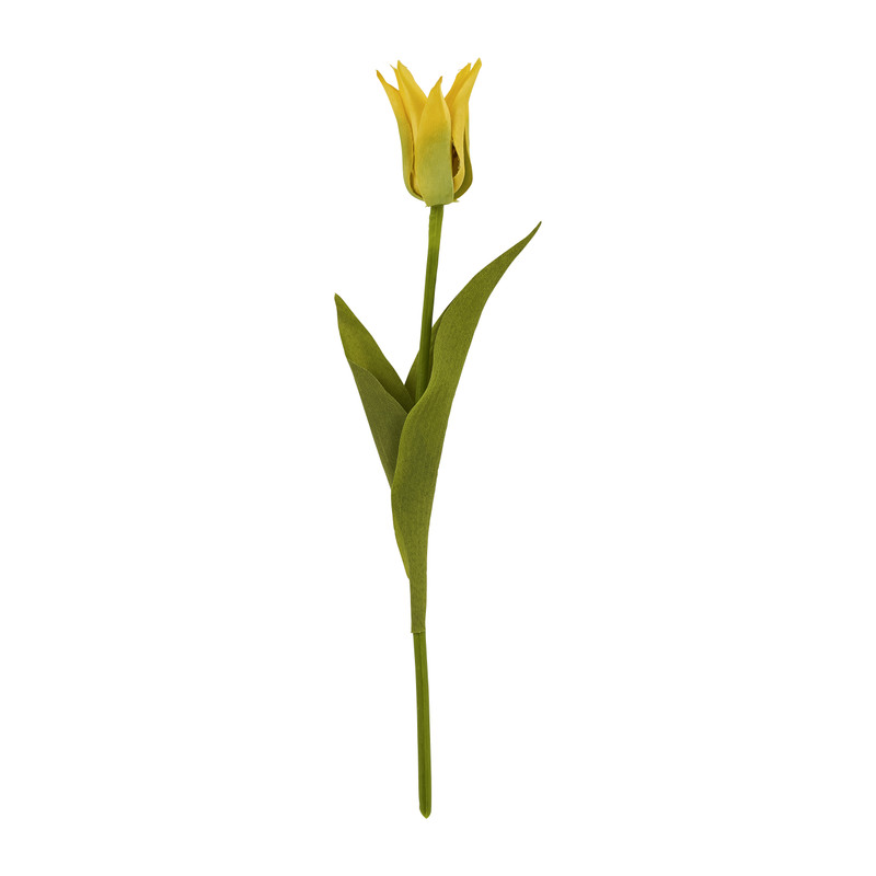 Tulp klein spits - verschillende kleuren - 40 cm