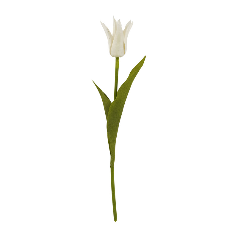 Tulp klein spits - verschillende kleuren - 40 cm