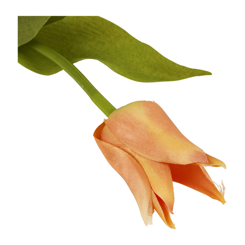 Tulp klein spits - verschillende kleuren - 40 cm