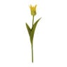 Tulp klein spits - verschillende kleuren - 40 cm