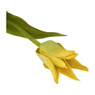 Tulp klein spits - verschillende kleuren - 40 cm