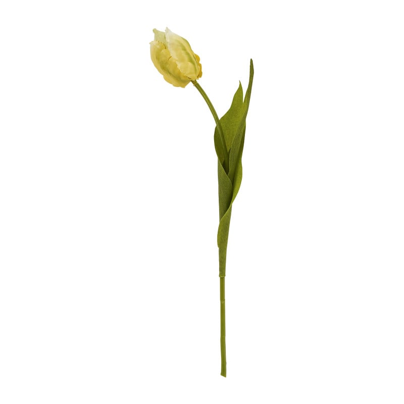 Tulp klein - verschillende soorten - 30 cm