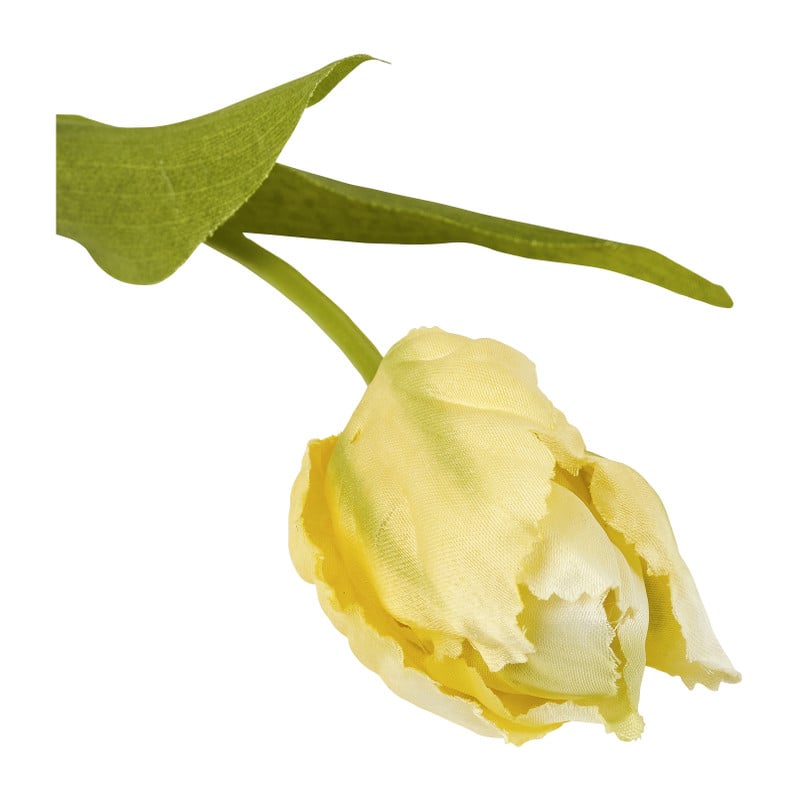 Tulp klein - verschillende soorten - 30 cm
