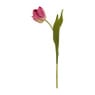 Tulp klein - verschillende soorten - 30 cm