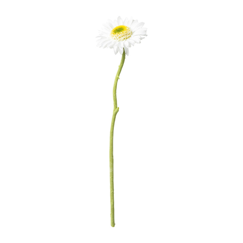 Gerbera mini - verschillende kleuren - 28 cm