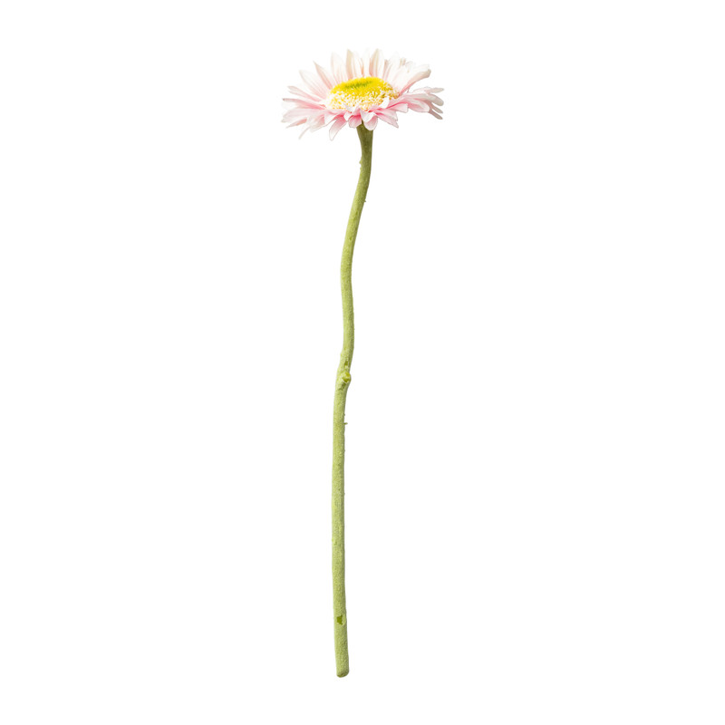 Gerbera mini - verschillende kleuren - 28 cm