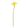 Gerbera mini - verschillende kleuren - 28 cm