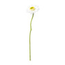 Gerbera mini - verschillende kleuren - 28 cm