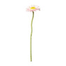 Gerbera mini - verschillende kleuren - 28 cm