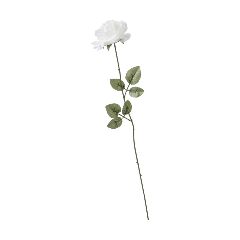Roos - crème - 68 cm