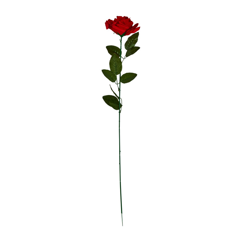 Roos - rood - 68 cm
