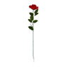 Roos - rood - 68 cm