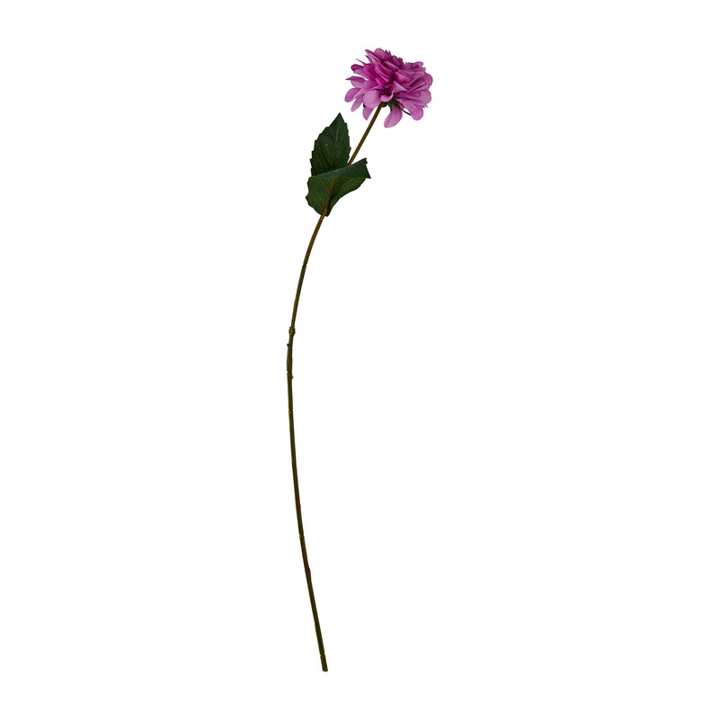 Zinnia - roze - 66 cm