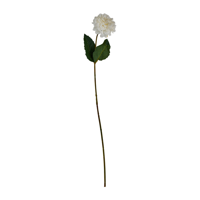 Zinnia - crème - 66 cm