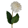 Zinnia - crème - 66 cm