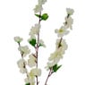 Perzik bloesem - crème - 65 cm