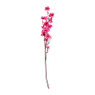 Perzik bloesem - roze - 65 cm