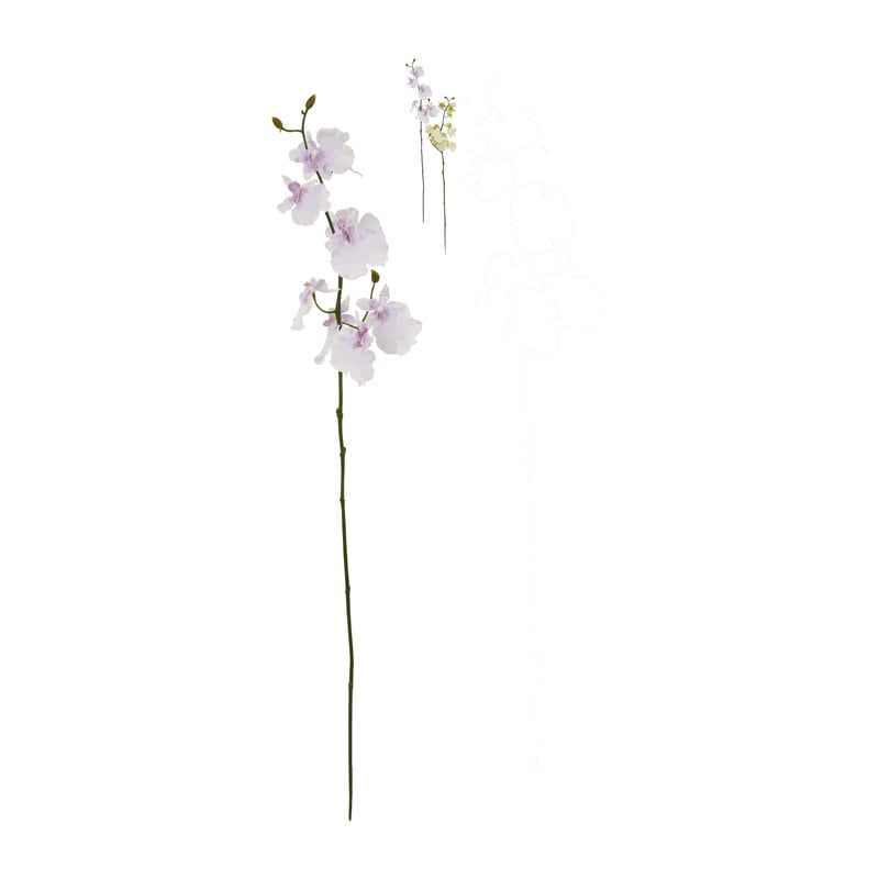 Orchidee - verschillende kleuren - 60 cm