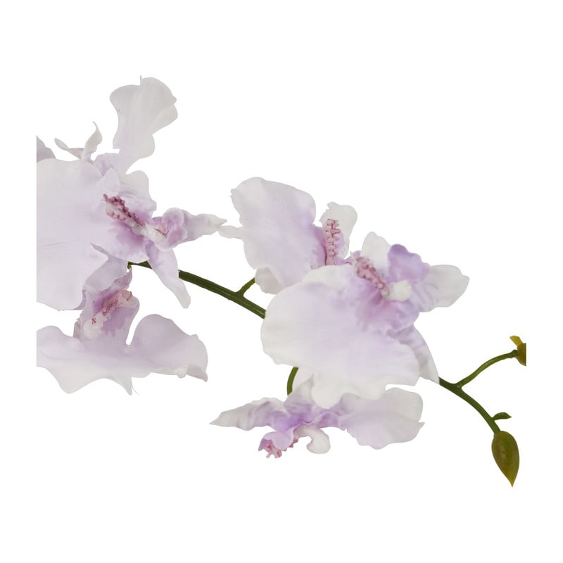 Orchidee - verschillende kleuren - 60 cm