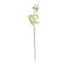 Orchidee - verschillende kleuren - 60 cm