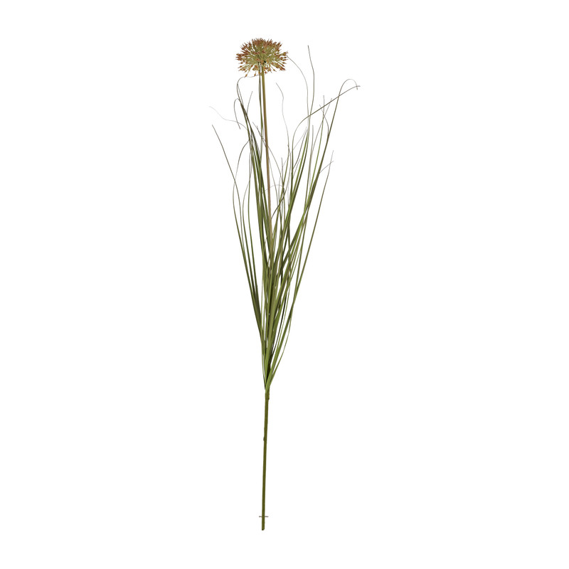Pluim gras - 91 cm
