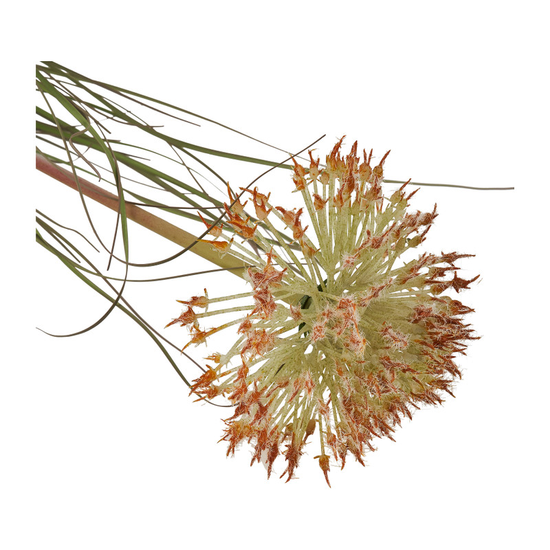 Pluim gras - 91 cm