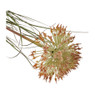Pluim gras - 91 cm