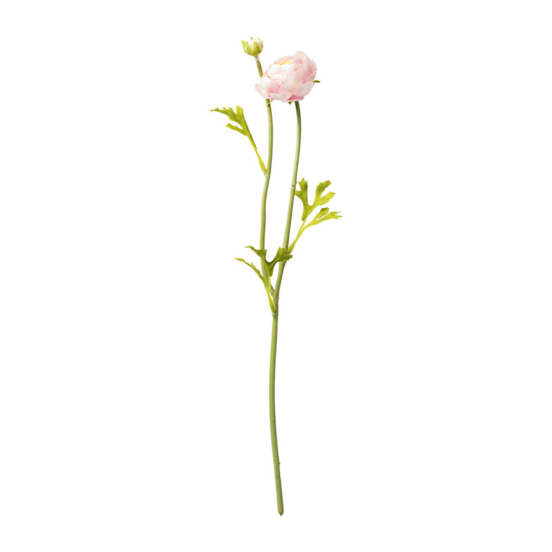 Ranonkel - verschillende kleuren - 39 cm