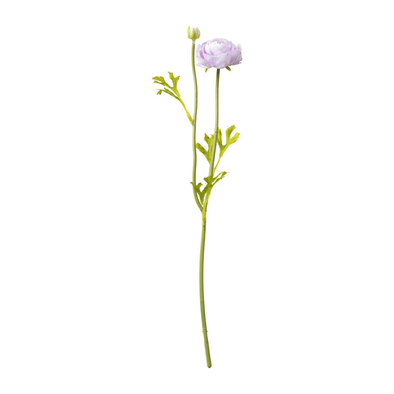Ranonkel - verschillende kleuren - 39 cm