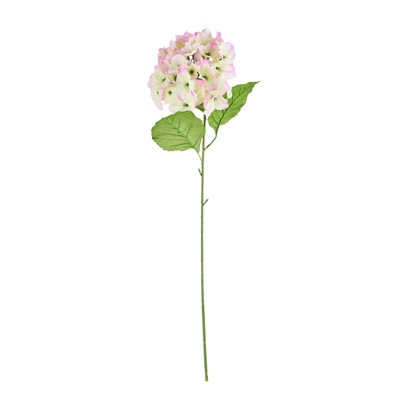 Hortensia - groen/roze -73 cm