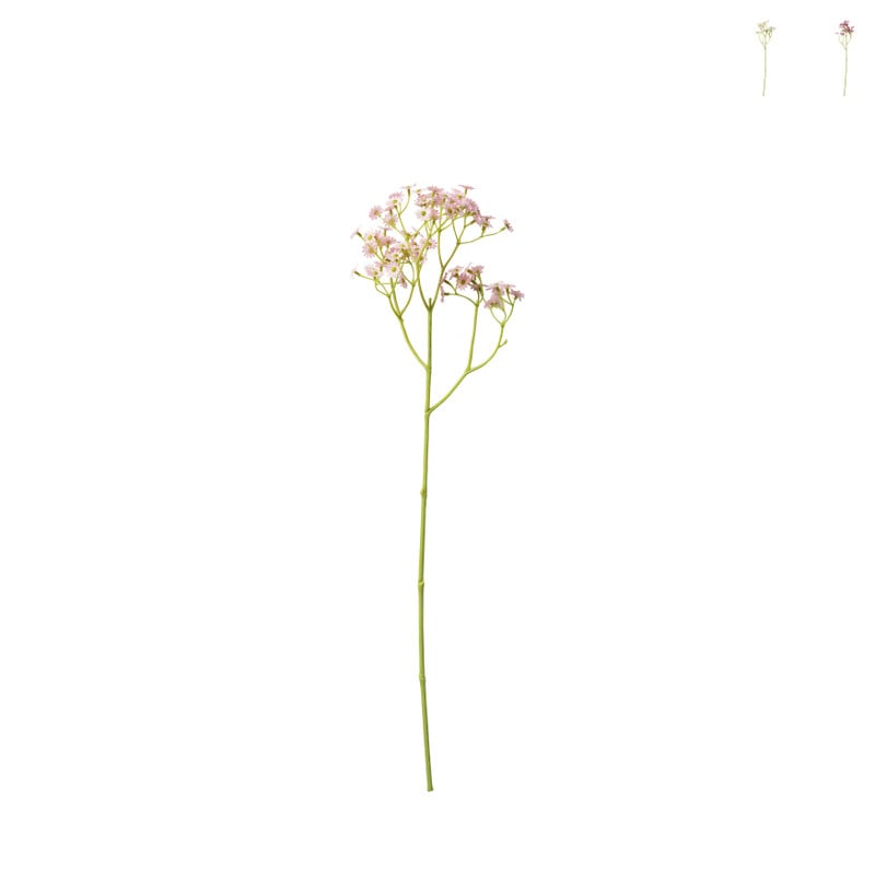 Madeliefje - diverse varianten - 60 cm
